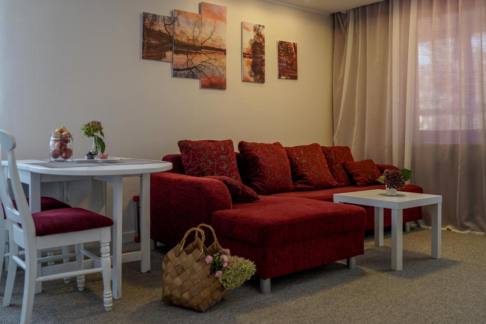 Apartamentai Birstono Centre Su Zidiniu Birštonas Extérieur photo